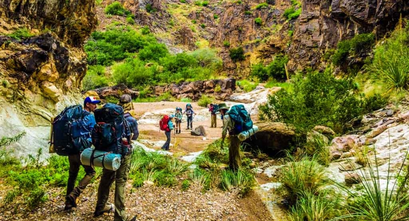a group of gap year students hike along a trail surrounded by greenery on an outward bound expedition 